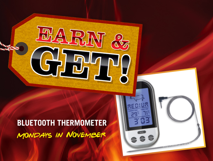 Mon_EarnGetThermometer Mon_EarnGetThermometer